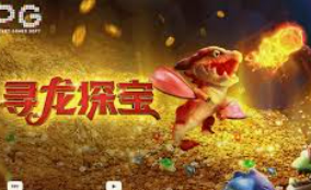 ledong网页版入口最新版