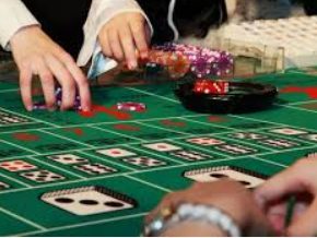 ledong网页版入口2024最新版